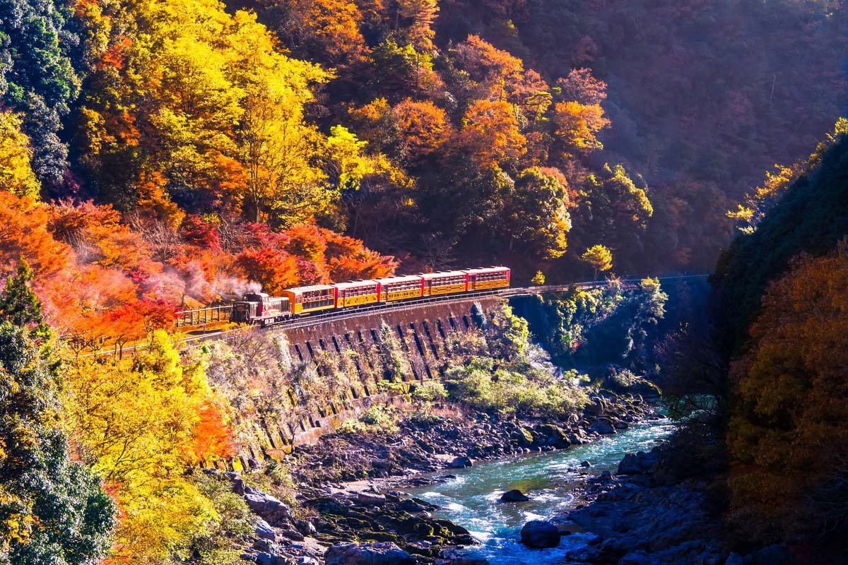 🌳 치바 현립 후나바시 현민의 숲(지바켄리쓰 후나바시켄민노모리) 이미지 7